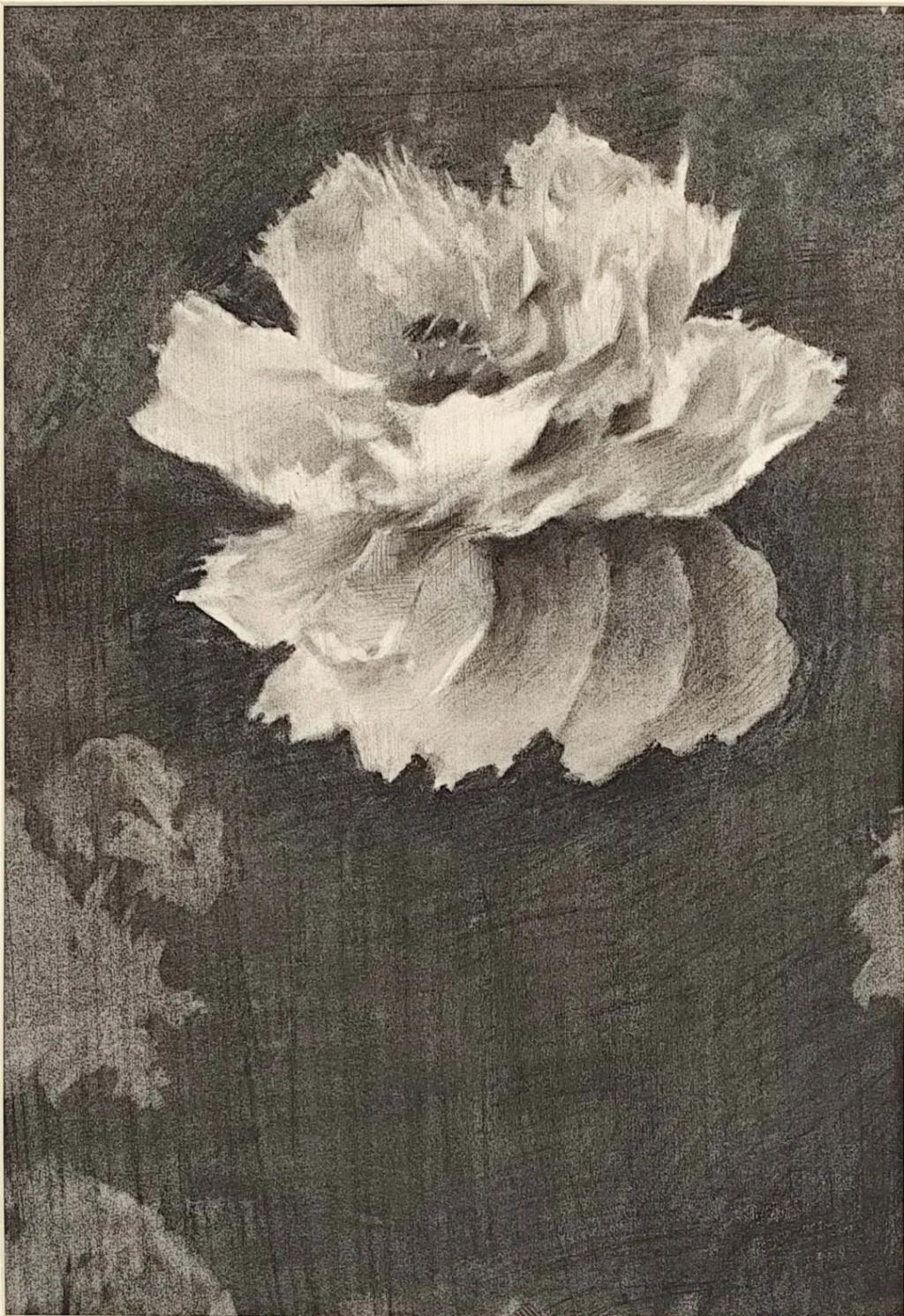4E33D